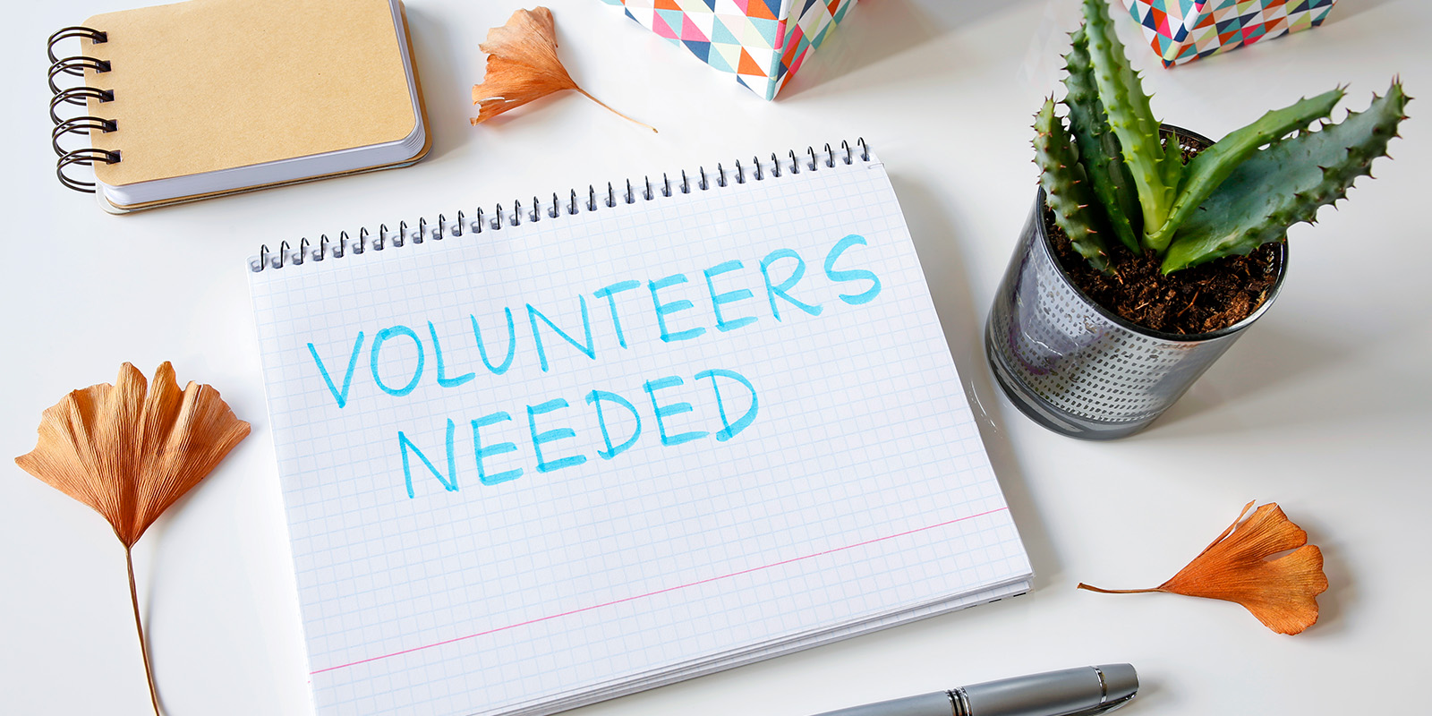 Volunteers needed – contact us today